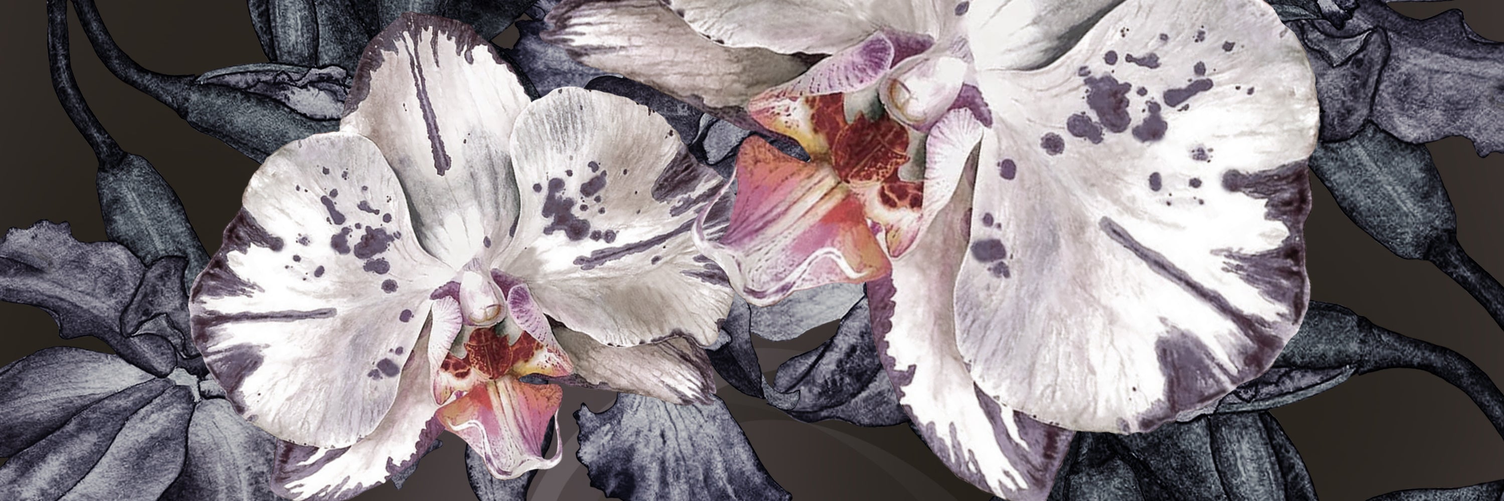 ORCHID ICE