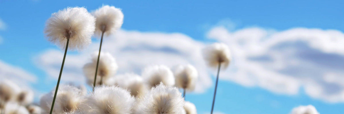 SUSTAINABLE FASHION
