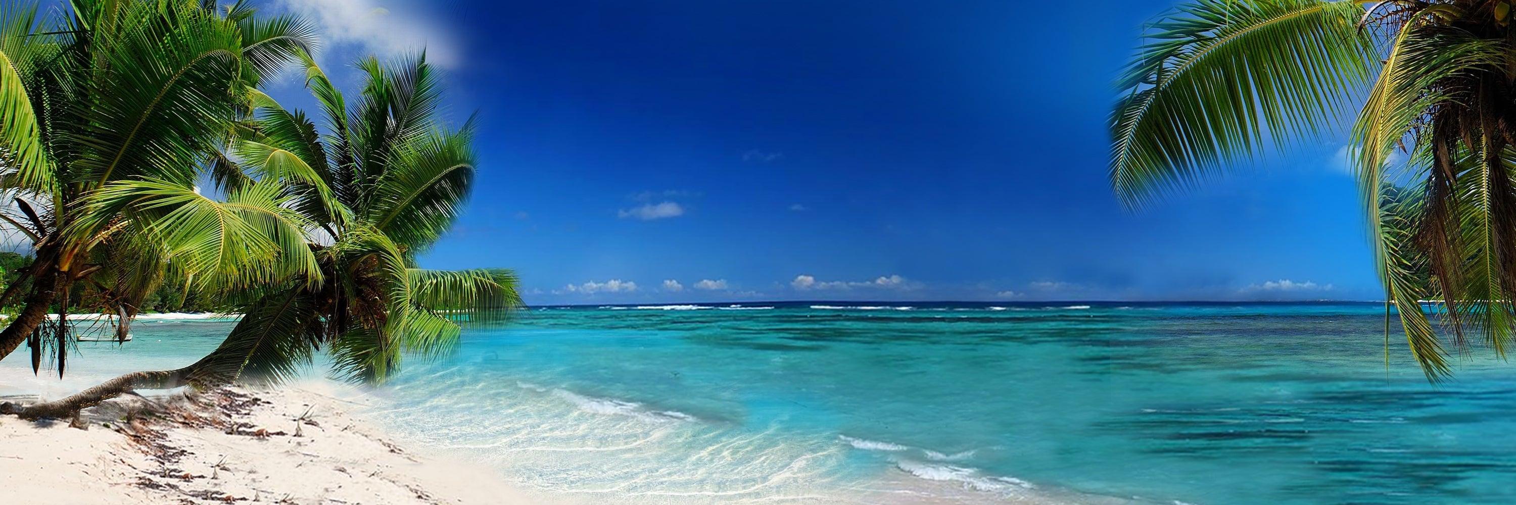 🌴RESORT ESCAPE🌴