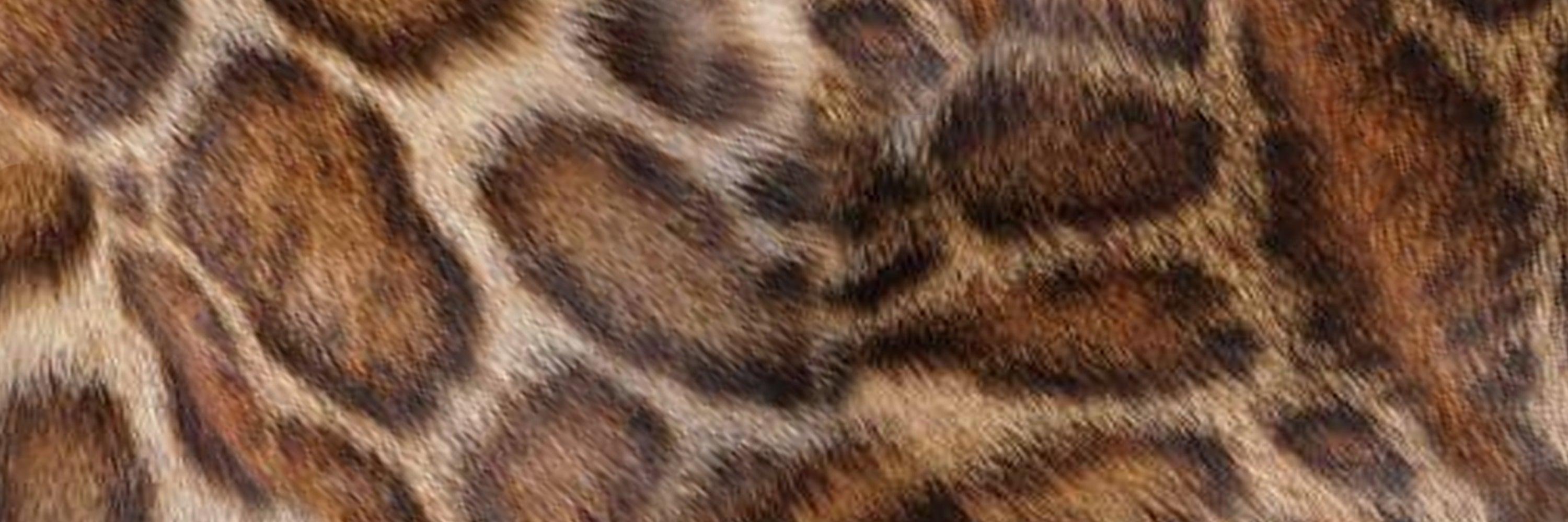 ANIMAL PRINT